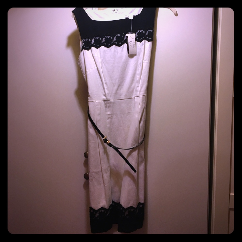NWT- New York & Company Dress