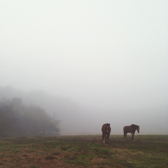 M E E T   C H A R T I E R - Picture 5 of 8