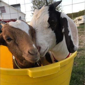 Meet your Posher, Jordan