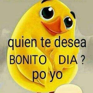 Meet your Posher, Juan