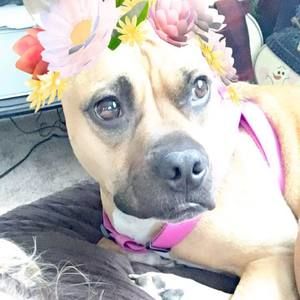 Meet your Posher, Lea