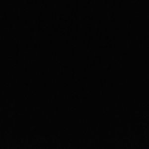 Meet your Posher, Camilo