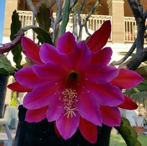 Meet your Posher, Maria