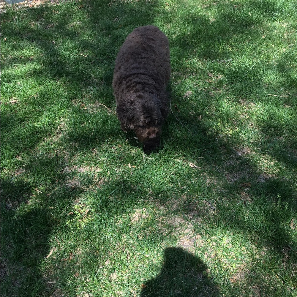 Meet your Posher, Ashley