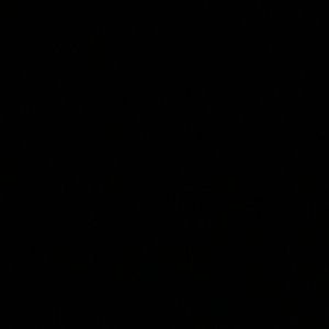 Meet your Posher, Ana