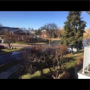 Meet your Posher, Naveen