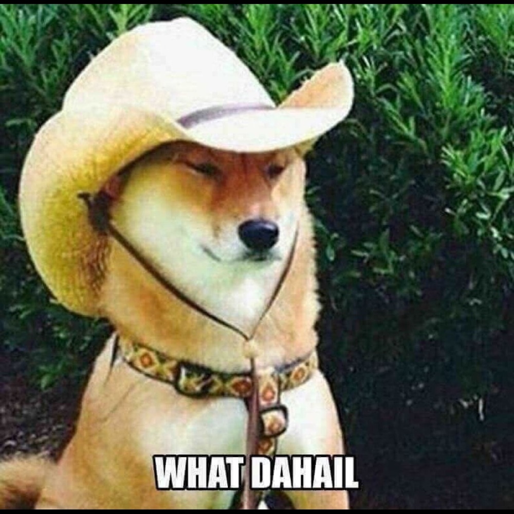 Meet your Posher, Jordanne