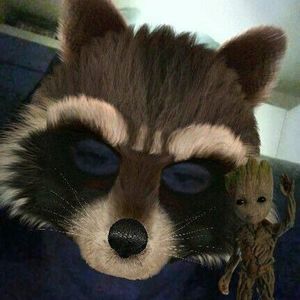 Meet your Posher, Dorothy