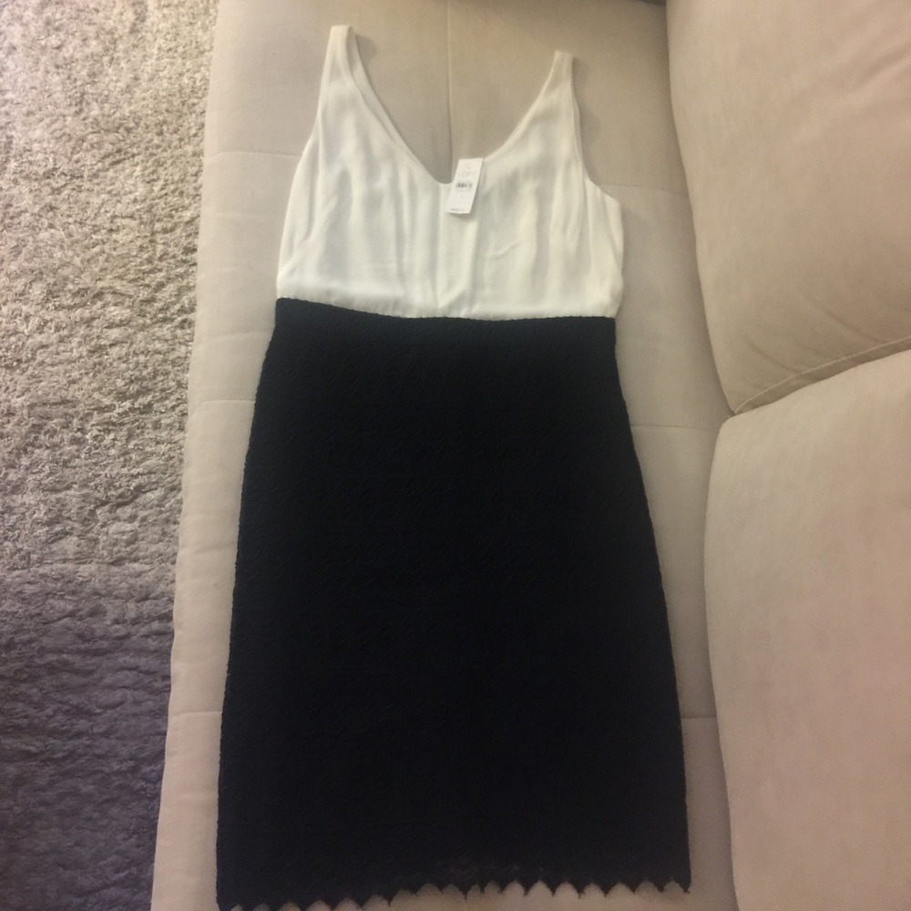 NWT LOFT black and white dress