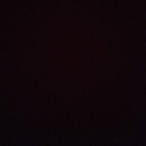 Meet your Posher, Beatrice