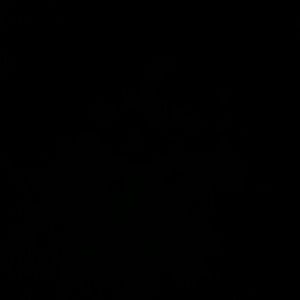 Meet your Posher, Roeshan