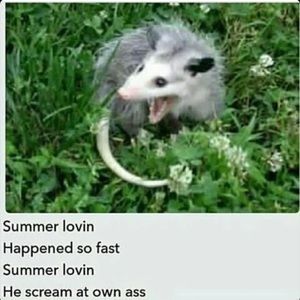 Meet your Posher, Grant