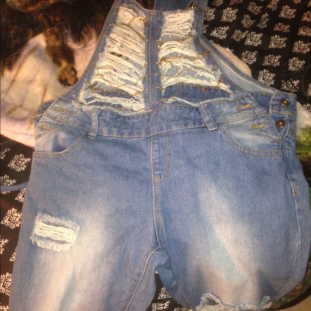 Overalls - Picture 2 of 2