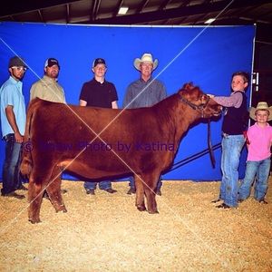 Meet your Posher, Grayson