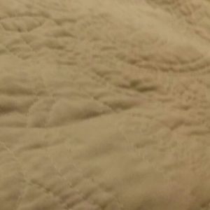 Meet your Posher, Heidi