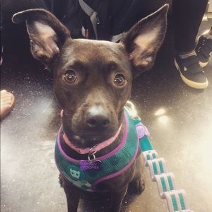 Meet your Posher, Jillian