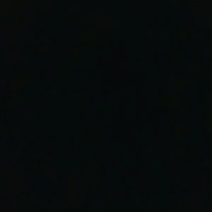 Meet your Posher, Donnesha