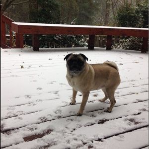 Meet your Posher, Jake