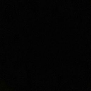 Meet your Posher, Maxx