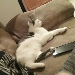 Meet your Posher, Carly