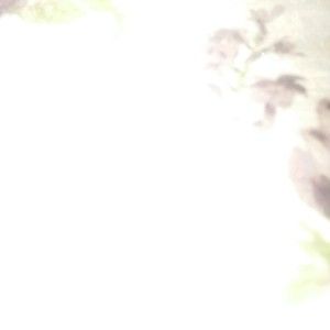 Meet your Posher, Diego