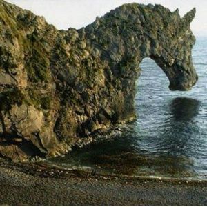 Meet your Posher, Francisco