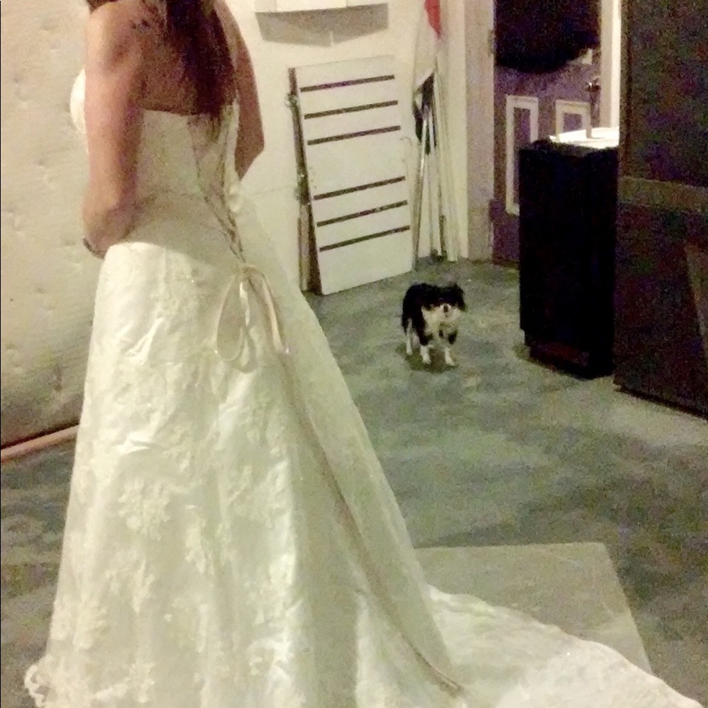 Beautiful Davids Bridal Strapless Wedding Dress