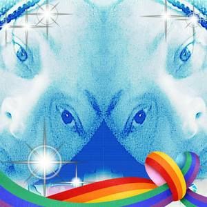 Meet your Posher, Deedee