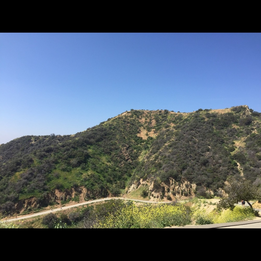 Meet your Posher, Mallory