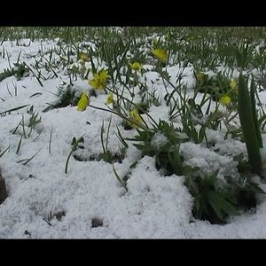 Meet your Posher, Vida