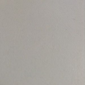 Meet your Posher, Shantor