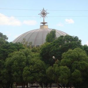 Meet your Posher, Tenaye