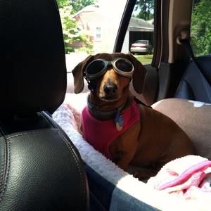 Meet your Posher, Kathy