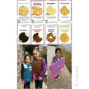 Meet your Posher, Patsy