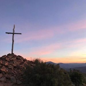 Meet your Posher, Ellen