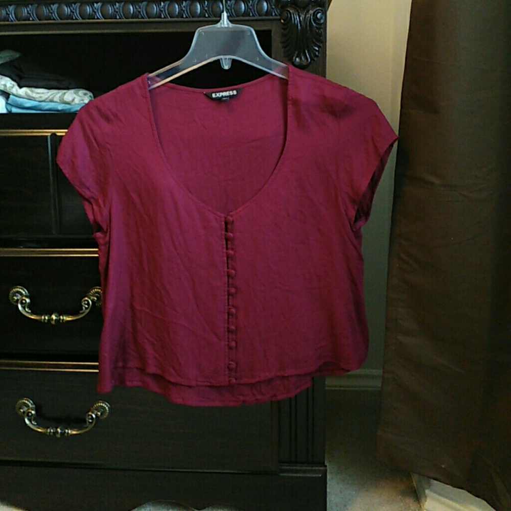 Express Maroon Crop Top