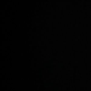 Meet your Posher, Ann