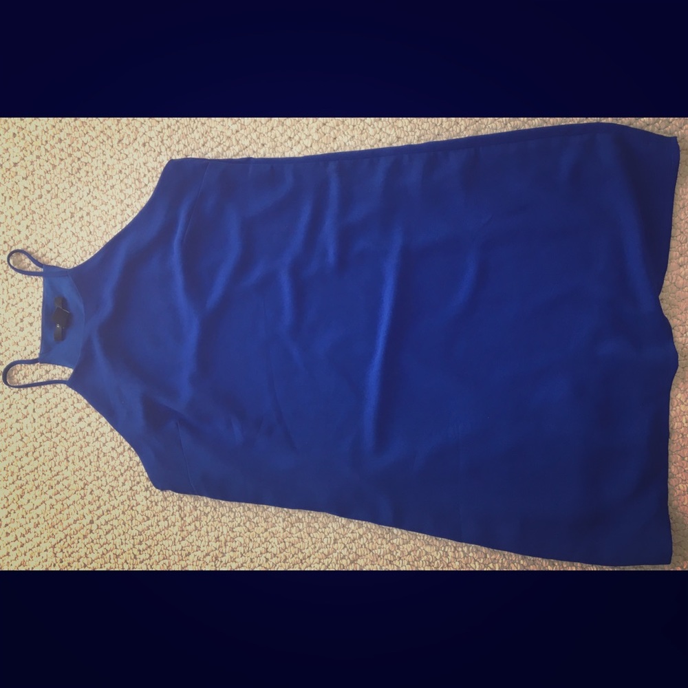 Blue Shift Dress - Picture 3 of 3