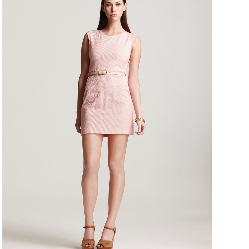 Theory Seersucker Dress