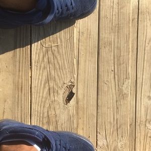 Meet your Posher, Travis