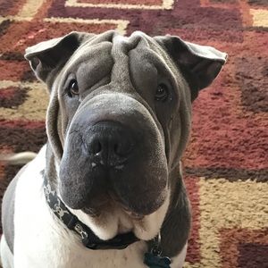 Meet your Posher, Joely