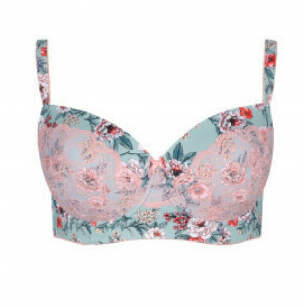 Nicola Plus Size Longline Bra