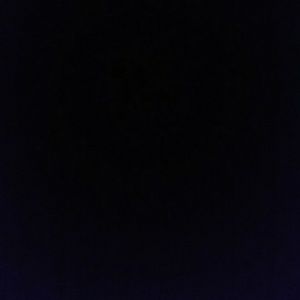 Meet your Posher, Luis