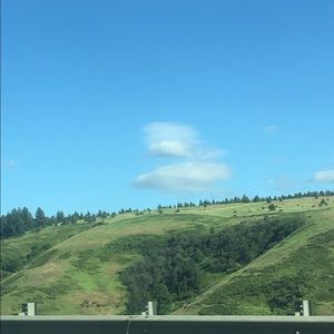 Meet your Posher, Stormie