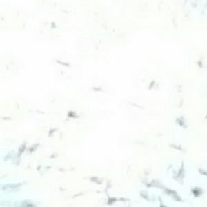 Meet your Posher, Margaret