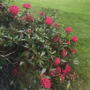 Meet your Posher, Lindsay