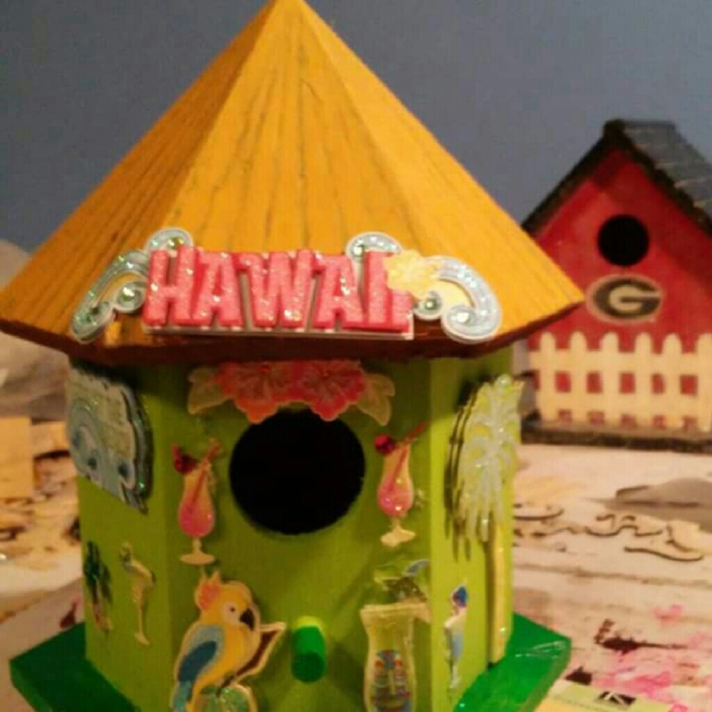 Decorated Hawaii bird house