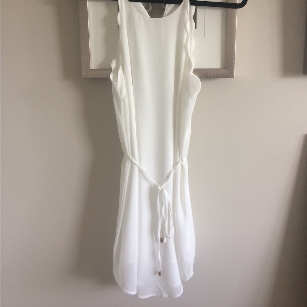 Naked Zebra Dress