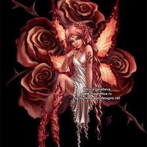 Meet your Posher, Wendy