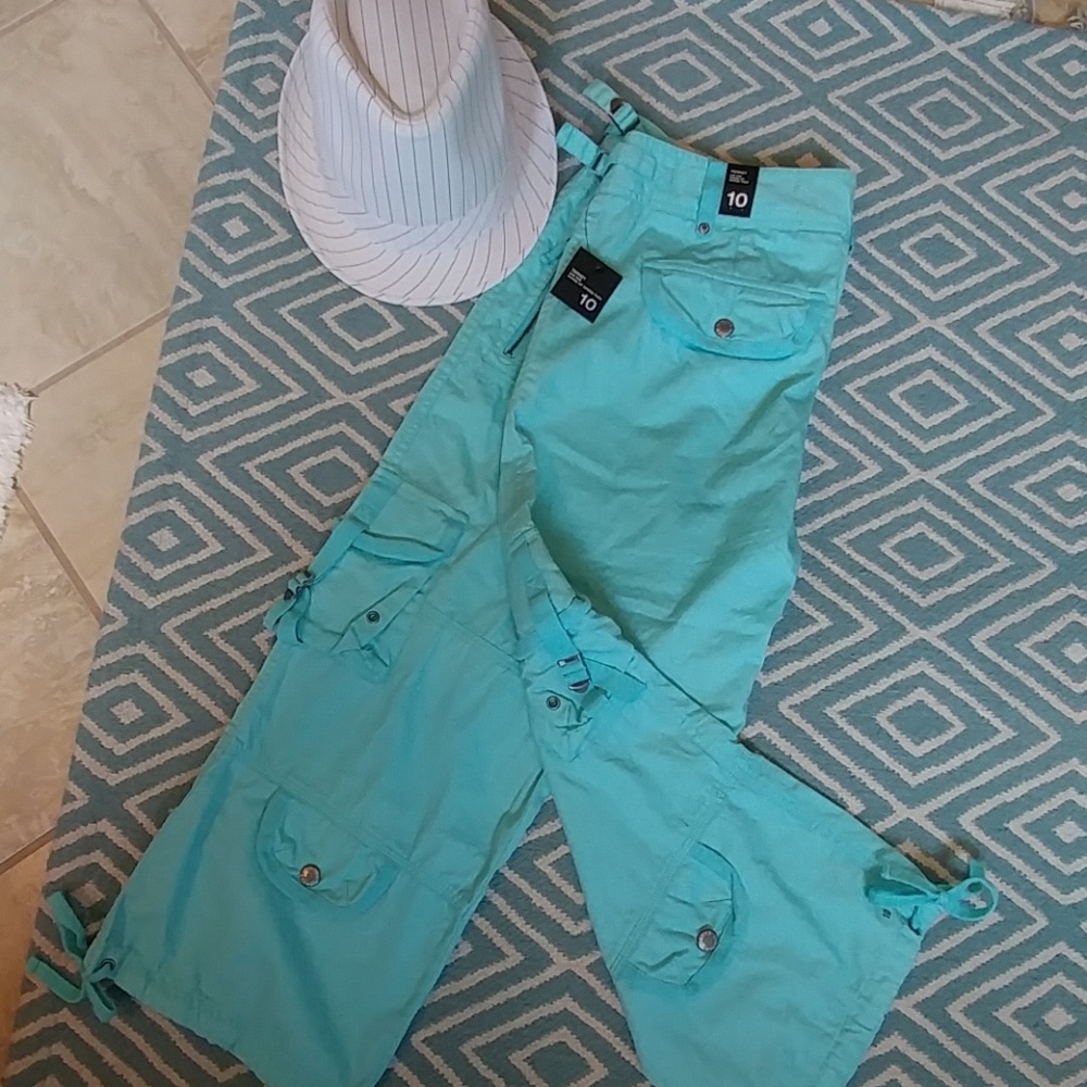 The Limited light mint capris